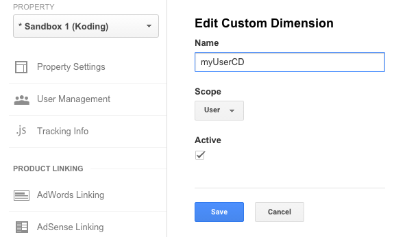 Custom Dimensions settings