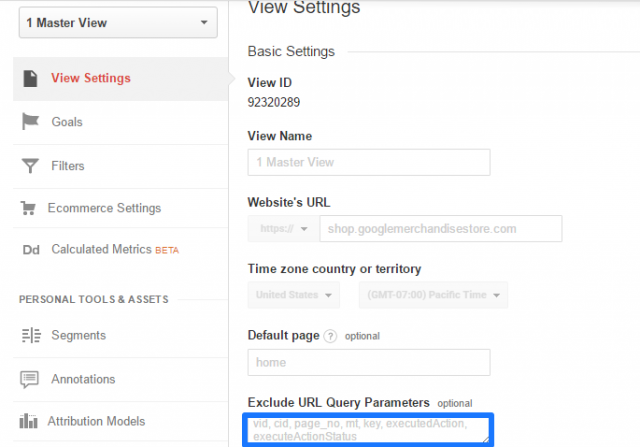 Query parameter filtering